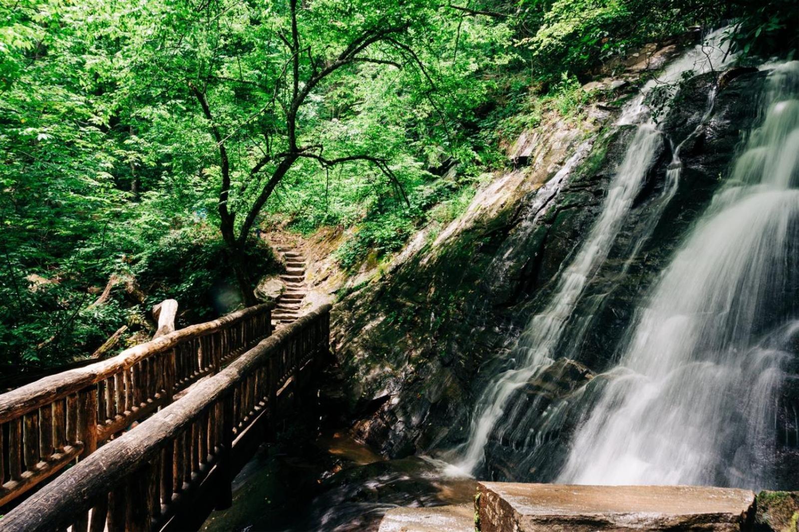 Hidden Star Hideaway-Blackberry Farm-Smoky Mtn Nat Park-Hot Tub- Fire Pit- Fenced Yard- Pet Friendly Walland Exteriör bild